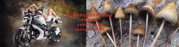 прущая мука Горняк