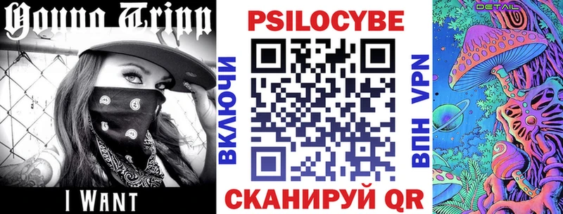 МЕГА ССЫЛКА  Приволжский  Галлюциногенные грибы Psilocybine cubensis 